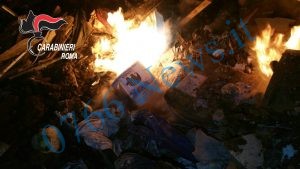 FRASCATI + FORESTALE - Combustione illecita di rifiuti (6)