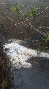 fiume marta inquinato